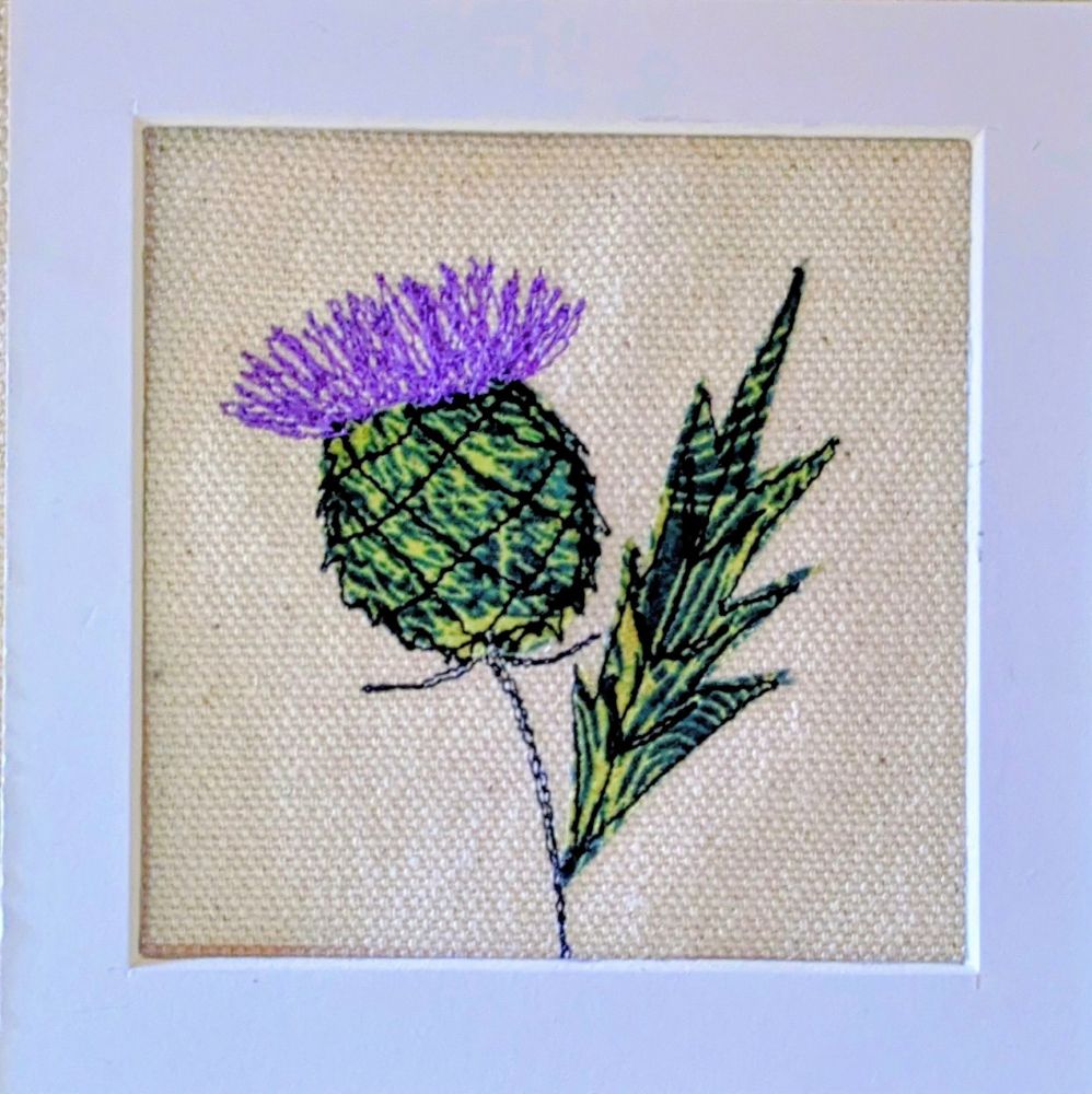 Thistle